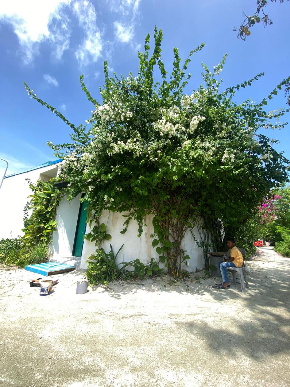 Maavaharu Guest House Himmafushi Exterior photo